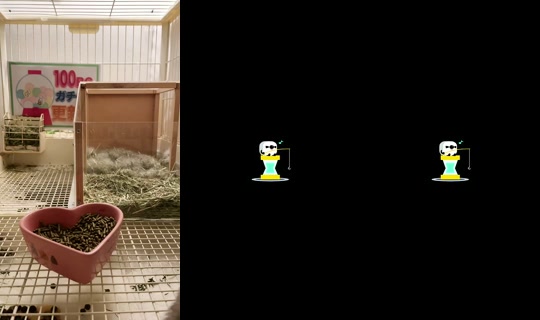 15864175's Stream - Jun 13, 2026, 7:53 PM
