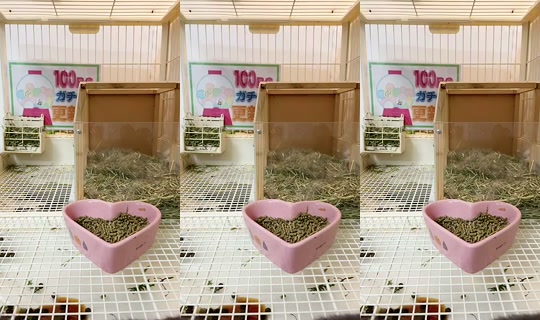 15864175's Stream - Jun 14, 2026, 4:36 AM