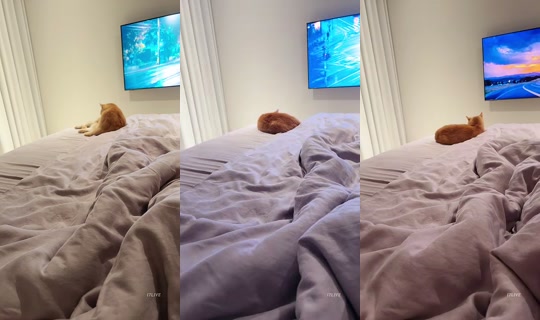 209209's Stream - Jun 25, 2026, 2:12 PM