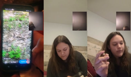 1113975490558959616's Stream - Jun 13, 2026, 2:11 AM