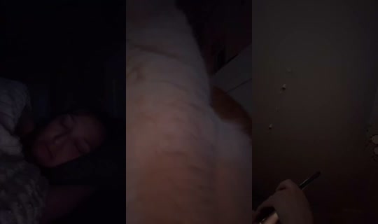 1224759386409410561's Stream - Jun 26, 2026, 12:38 AM