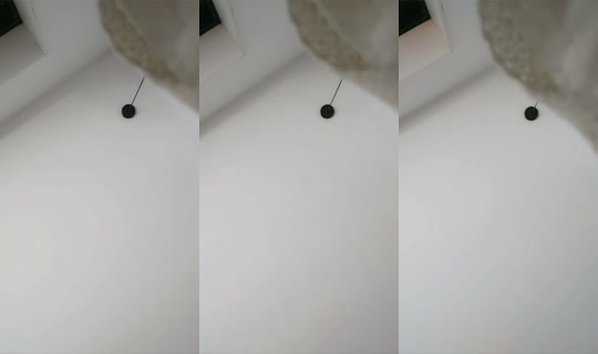 1603886384258070529's Stream - Jun 11, 2026, 2:18 PM