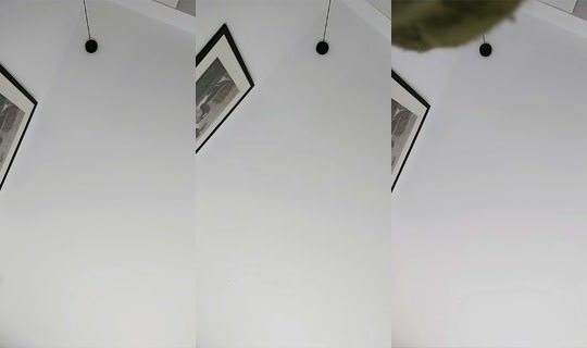 1603886384258070529's Stream - Jun 21, 2026, 4:56 PM