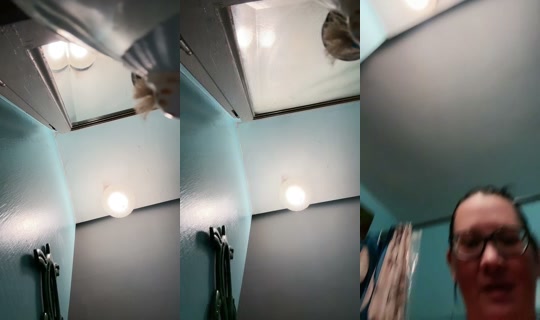 1798424768516383745's Stream - Jun 21, 2026, 3:20 AM