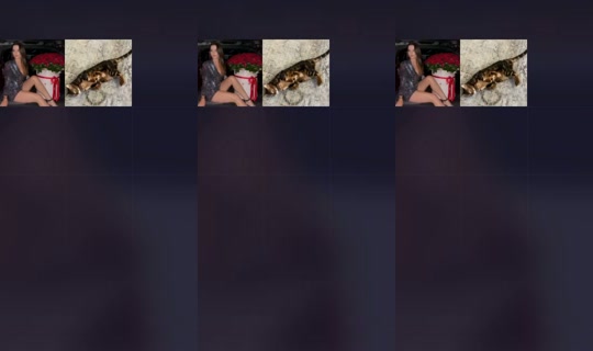 Stream ni 1923514903679951873 - May 24, 2026, 7:11 AM