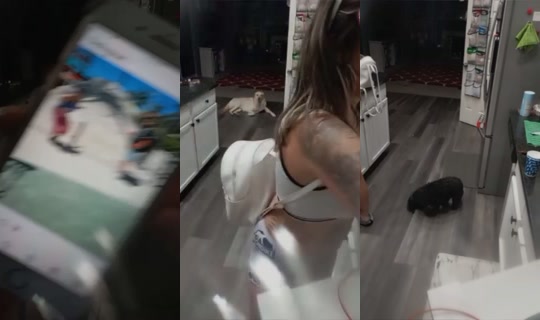2031540448582745089's Stream - Jun 17, 2026, 5:22 AM