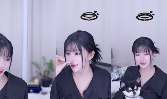 mincho1004's Stream - May 19, 2026, 9:12 AM