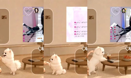 uzusis0420's Stream - May 18, 2026, 8:14 AM