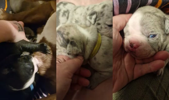 .sandgaard's Stream - Apr 17, 2026, 7:50 PM