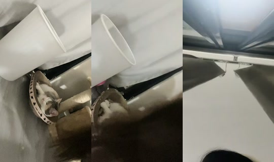 _pa149's Stream - Apr 17, 2026, 4:39 PM