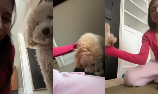 acidbarbie444 の配信 - 2026年4月13日 20:53