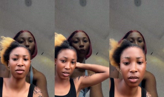 always_toriseju's Stream - Apr 23, 2026, 5:10 PM