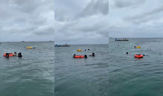 baongoaidao's Stream - Jul 2, 2026, 8:14 AM
