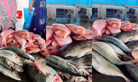 coumba.gn24's Stream - Apr 19, 2026, 1:19 PM