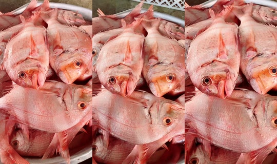 coumba.gn24's Stream - Apr 19, 2026, 4:39 PM