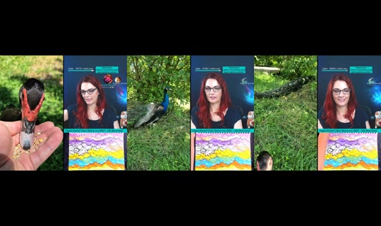 edermuehlewaldviertel's Stream - Jul 2, 2026, 10:59 AM