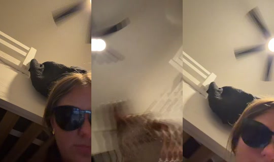 fwzanderrr's Stream - Jul 3, 2026, 4:09 AM