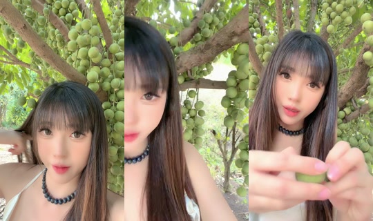 giauhuynh6886's Stream - Apr 19, 2026, 5:29 AM