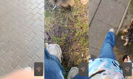 happy.star276의 방송 - 2026년 4월 16일 PM 3:19