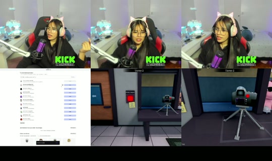 karinguerraa's Stream - Jul 2, 2026, 12:30 AM