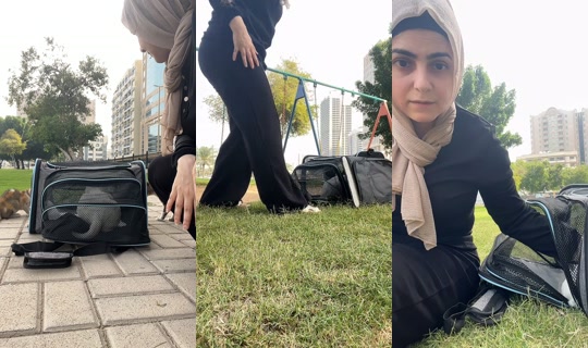 leooooo2424's Stream - Apr 21, 2026, 4:19 AM