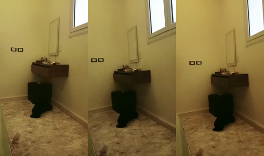 Live de loma2901 - 17 de abr. de 2026, 12:03