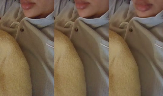 non1166993780's Stream - Apr 14, 2026, 4:11 PM