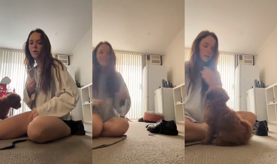 palomachat's Stream - Apr 20, 2026, 11:33 PM