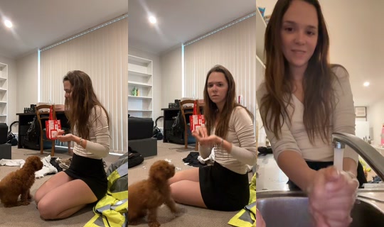 palomachat Recorded on Apr 21, 2026, 3:34 AM