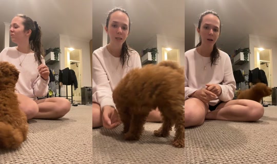 palomachat's Stream - Apr 21, 2026, 10:30 AM