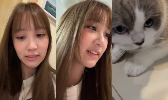sitaaaaaaaaa.a's Stream - Jul 3, 2026, 11:53 AM