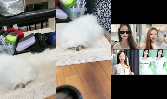 sweet_soi's Stream - Apr 19, 2026, 6:21 AM