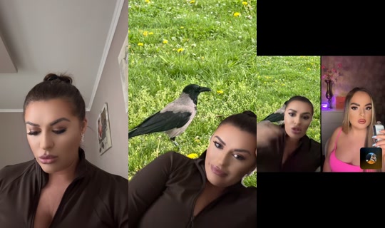 Live de yingyang_921 - 17 de abr. de 2026, 17:57