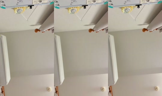 yx.o21's Stream - Jul 4, 2026, 1:55 PM