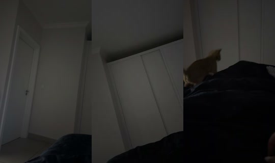 Stream 2612cathmay - 1 Mei 2026, 20.10