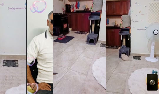 bellacybell's Stream - May 5, 2026, 2:39 AM