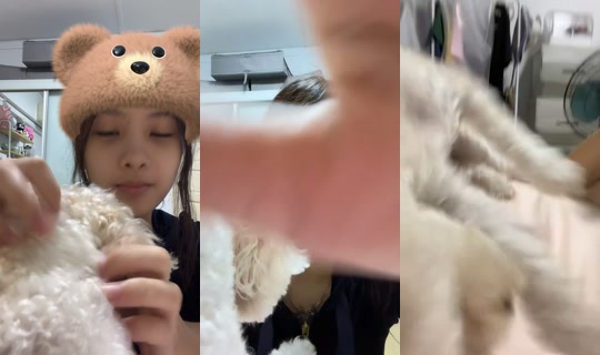 dumboden's Stream - May 4, 2026, 1:54 PM