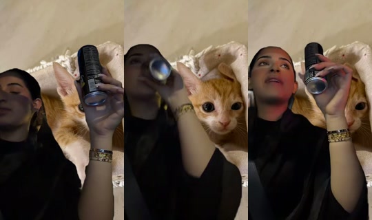 ikh.alx's Stream - May 5, 2026, 4:09 PM