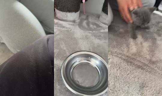 l4roshlive's Stream - May 3, 2026, 1:16 PM
