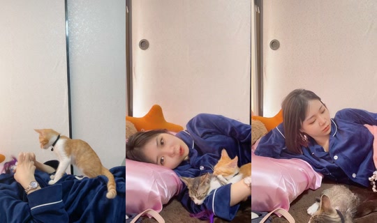 ไลฟ์ของ nyanchanuniverse - 14 มิ.ย. 2569 4:02