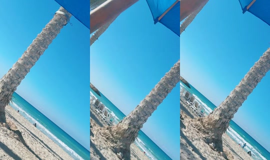 rima.alice.amy's Stream - Jun 15, 2026, 2:47 PM