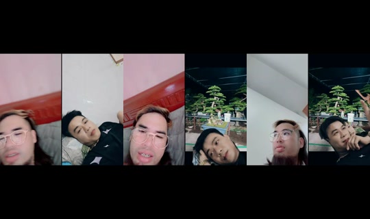 tayrambo_bonsai's Stream - Jun 17, 2026, 4:45 AM