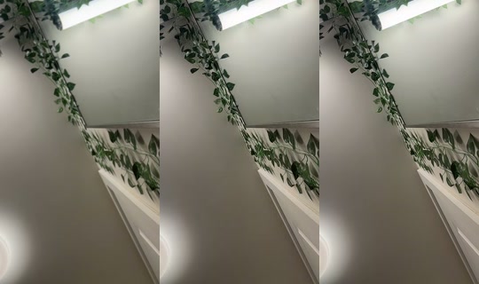 _courtneyelise__'s Stream - Jun 20, 2026, 3:20 AM