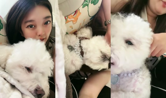 bebebaby19's Stream - Jun 23, 2026, 7:52 AM
