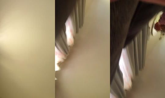 behumble744's Stream - Jun 22, 2026, 5:16 PM