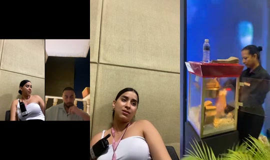 cifue4's Stream - May 8, 2026, 8:37 PM