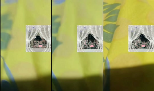daltont5856's Stream - Jun 23, 2026, 9:26 AM