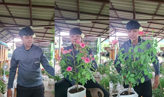 glaowtip's Stream - Jun 23, 2026, 9:14 AM