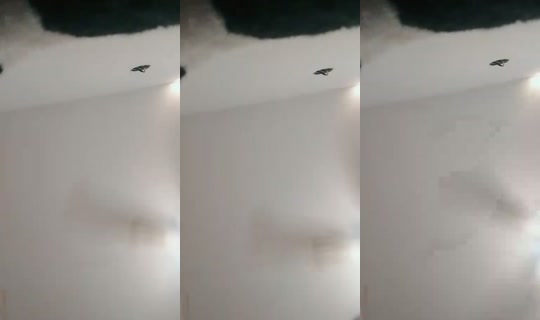 ladablita122's Stream - May 8, 2026, 2:28 PM