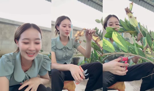 namwharn1999's Stream - Jun 23, 2026, 10:14 AM